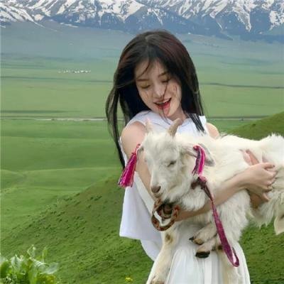 杜拉拉追婚记